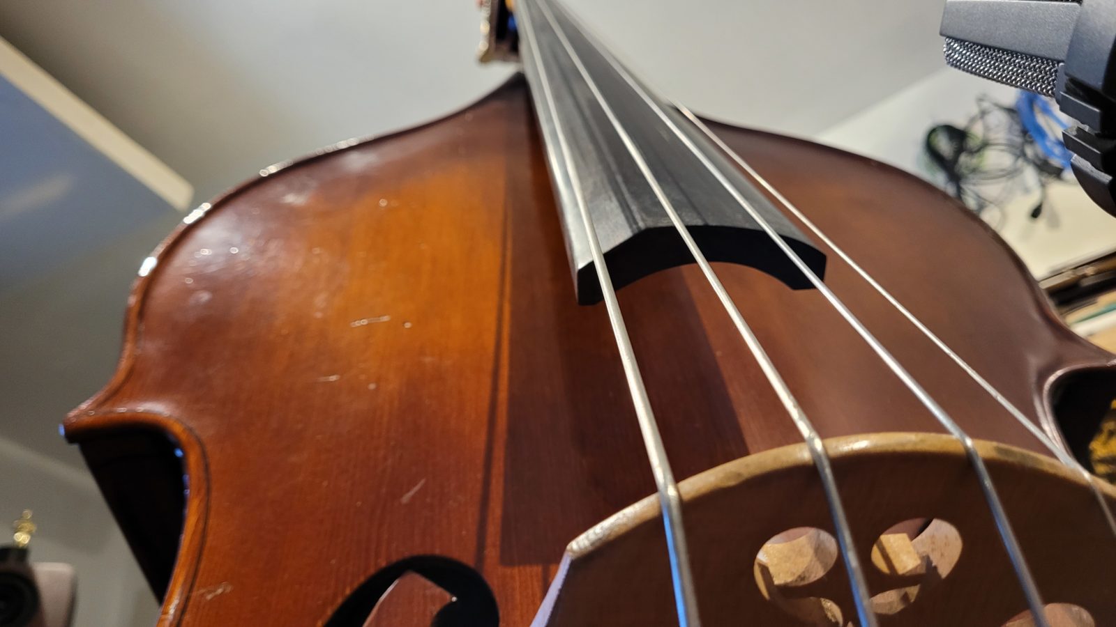 Double Bass