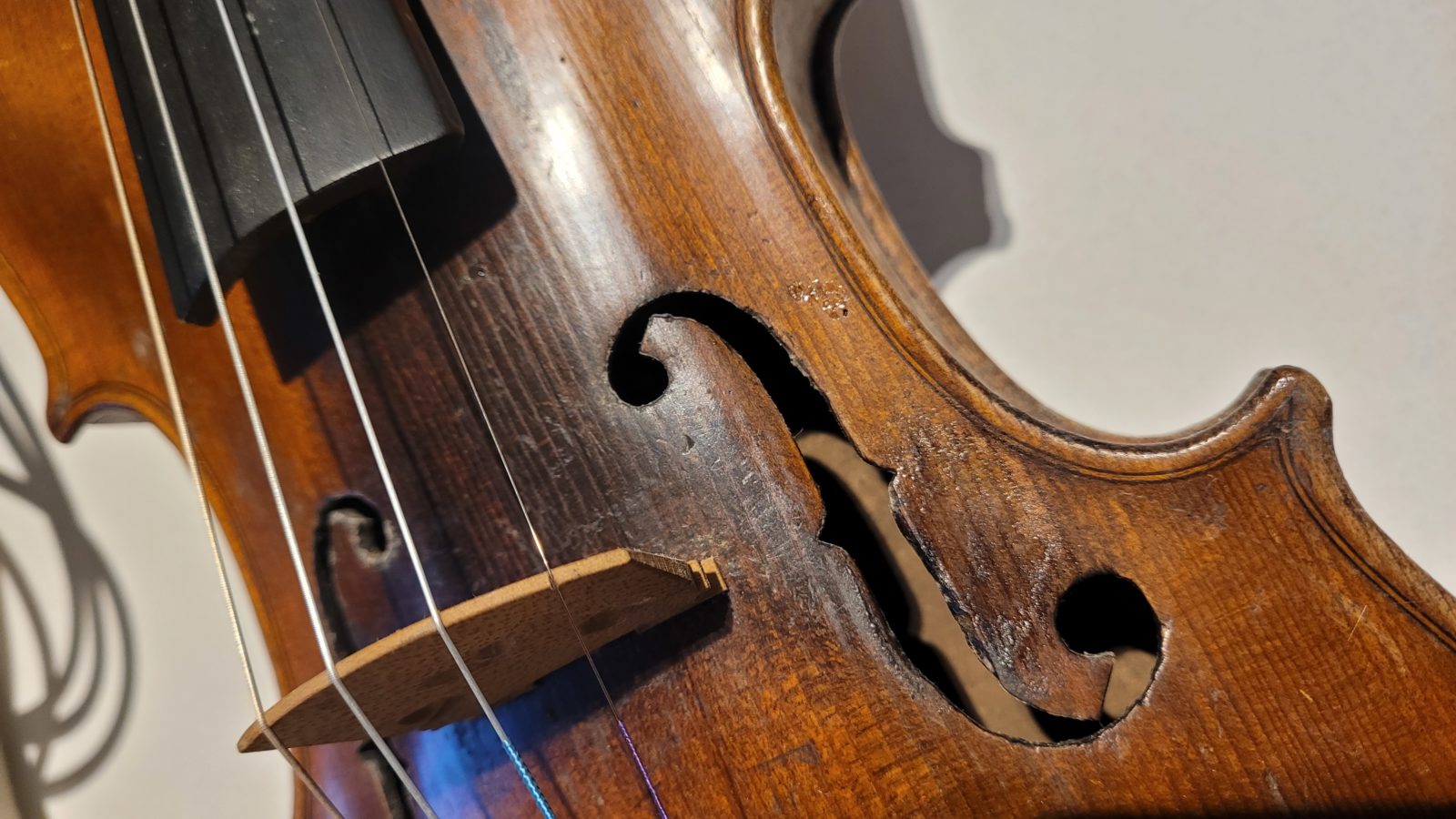 Violin