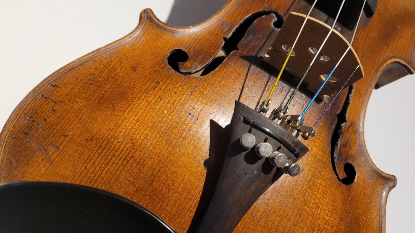 Violin
