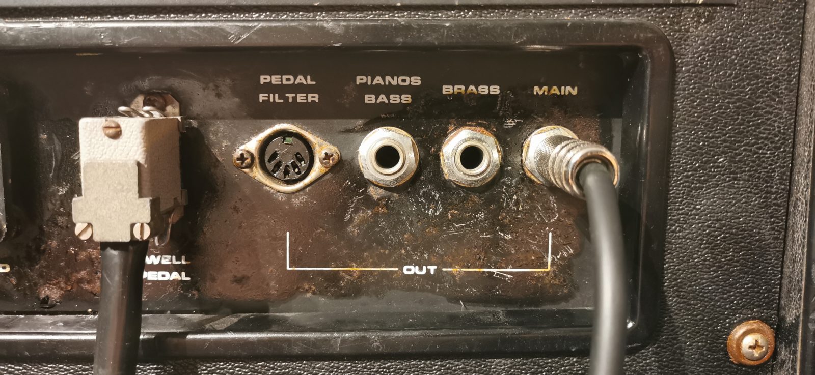 Amp
