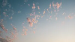 Electronica