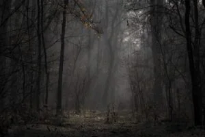 Dark Cinematic