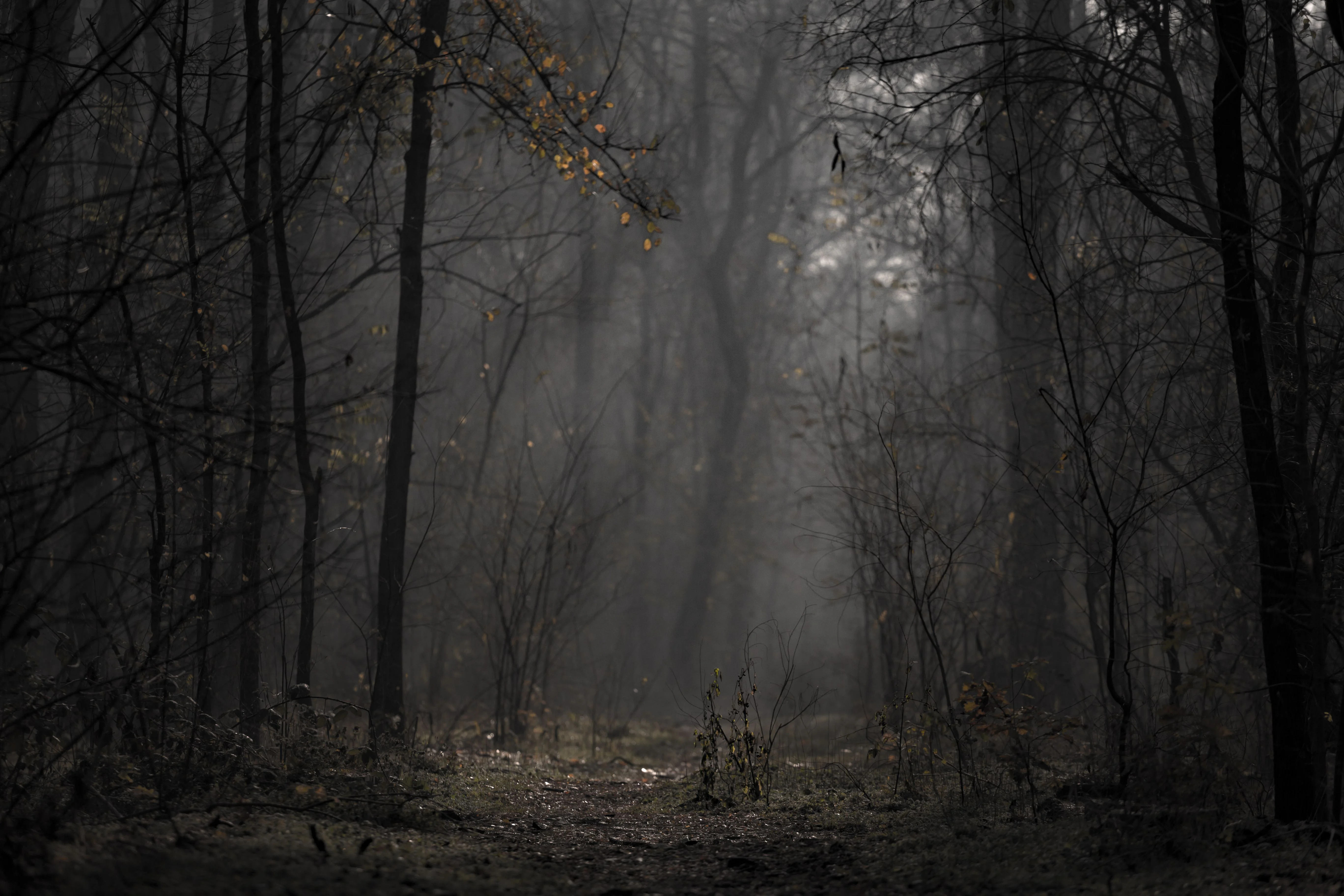 Dark Cinematic