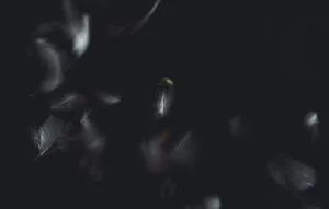 Dark Edge